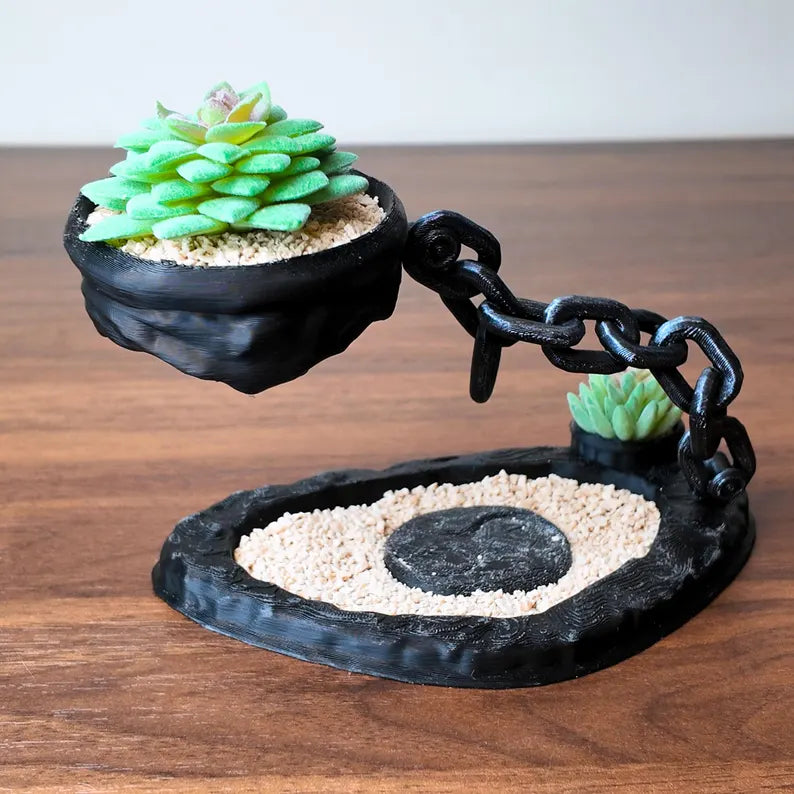 Vaso di design moderno con succulenta in contenitore sospeso