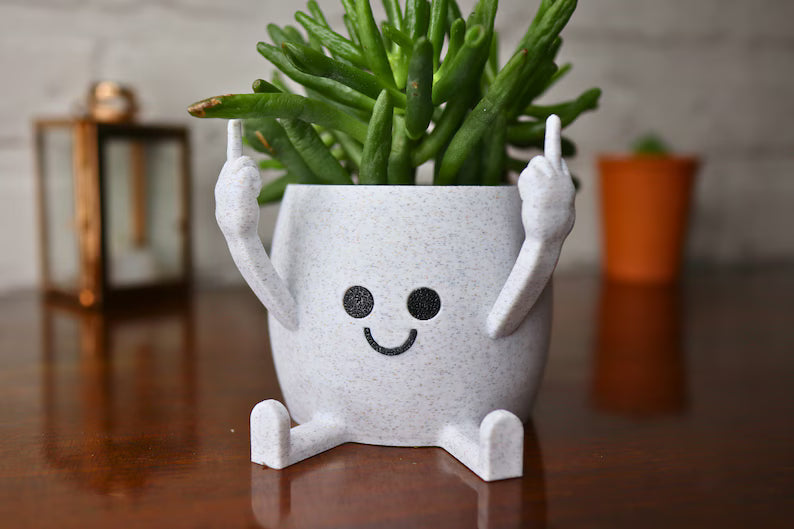 Vaso creativo con volto sorridente e pianta succulenta in ambiente interno