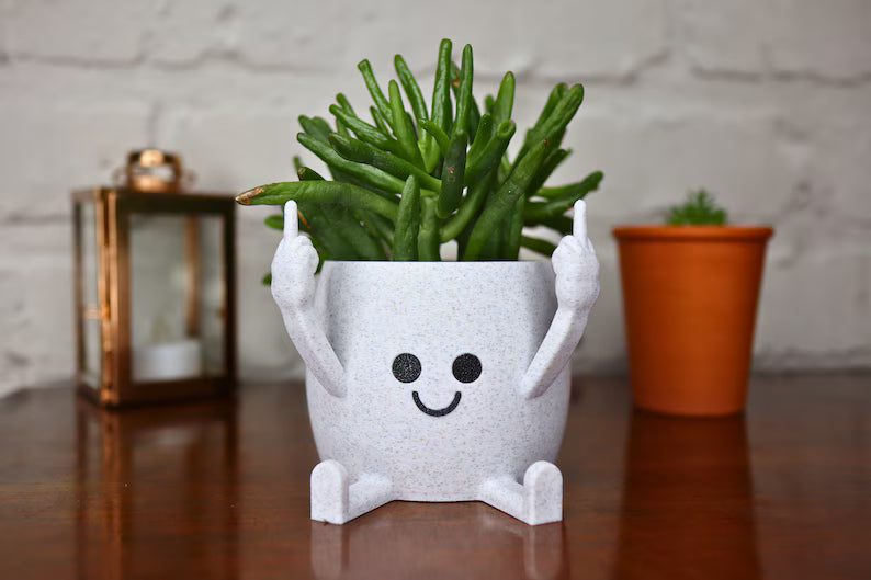 Vaso decorativo bianco sorridente con pianta grassa su tavolo in legno