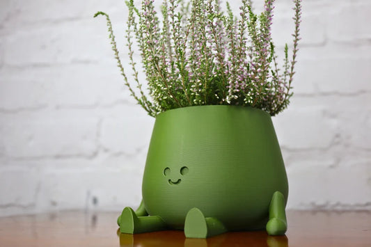 Vaso verde sorridente con pianta di erica su superficie in legno